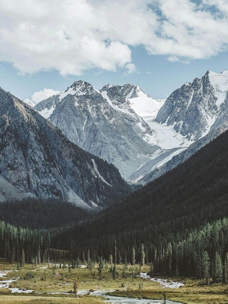 专家点评！幕后故事蘑菇视频下载新姿势解锁