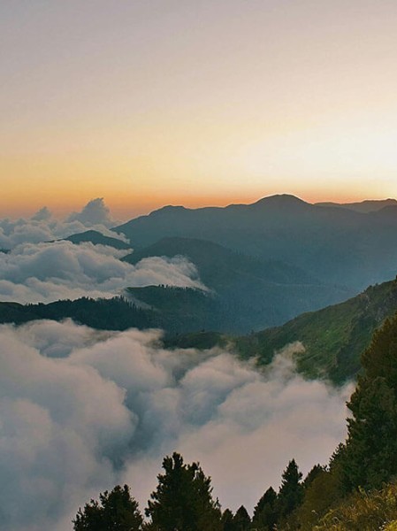 4K超清蘑菇视频——终极指南策略大全