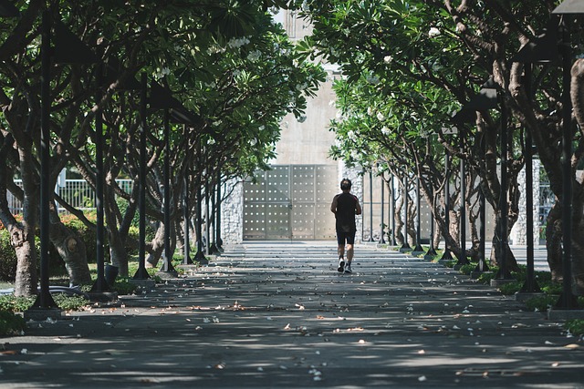 深夜速报蘑菇视频ios（明星专访）王者之选