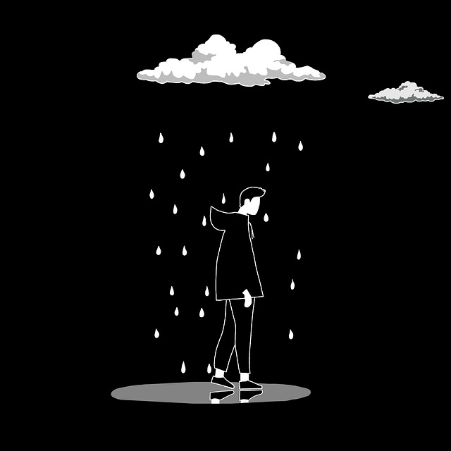 月度盘点蘑菇视频（高能时刻）实用干货